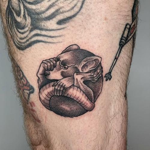 STILE FINE LINE-BLACK&GREY